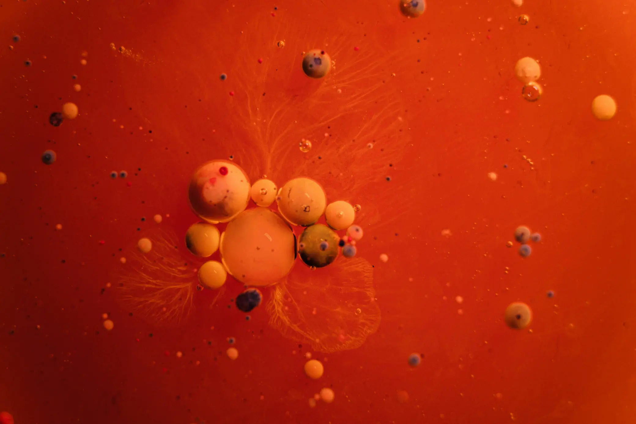 terapia Cart Cell na advocacia